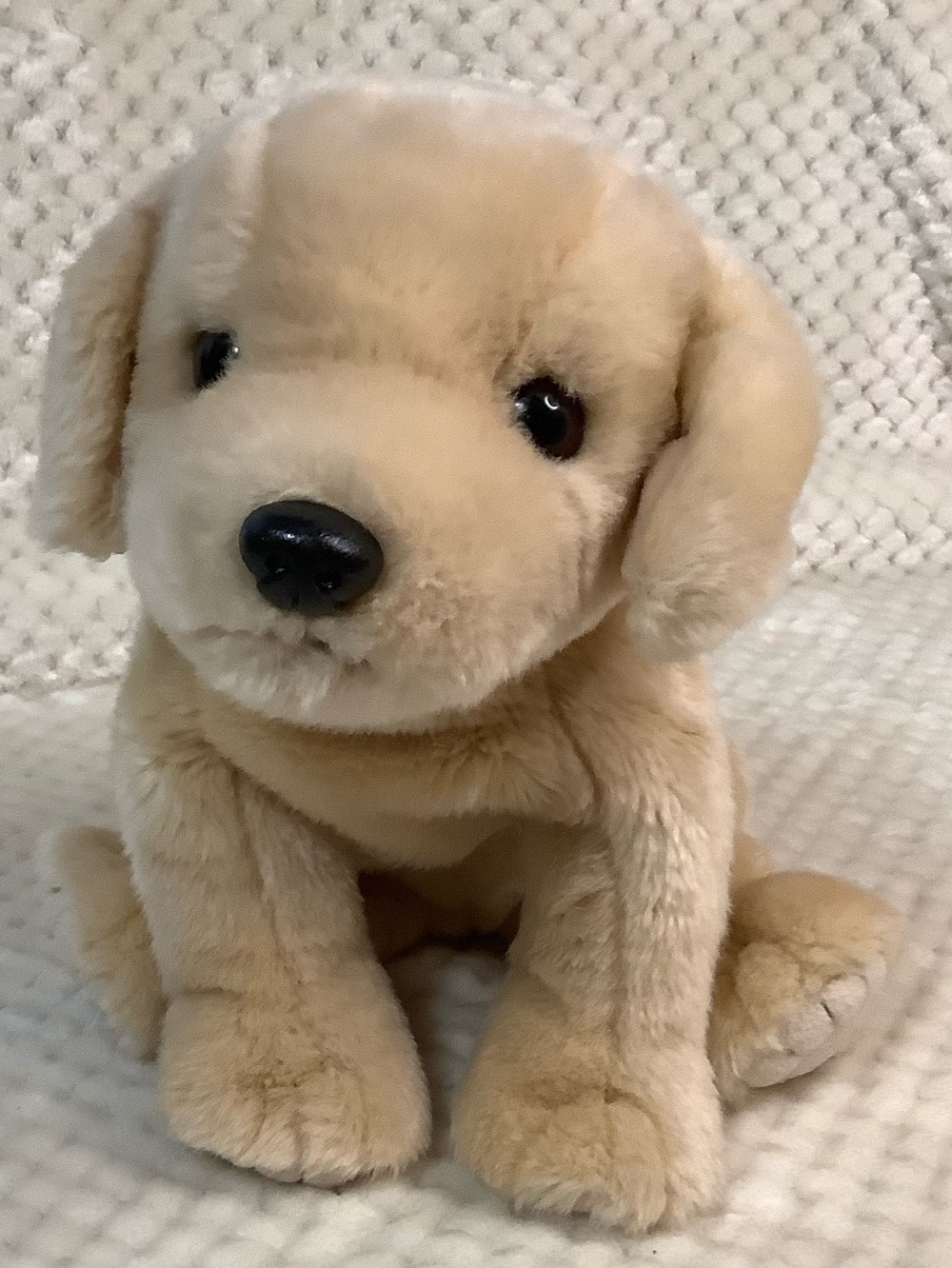 Vintage Ty Beanie Buddy 1999 Plush Fetch Golden Retriever Dog Stuffed Animal Toy